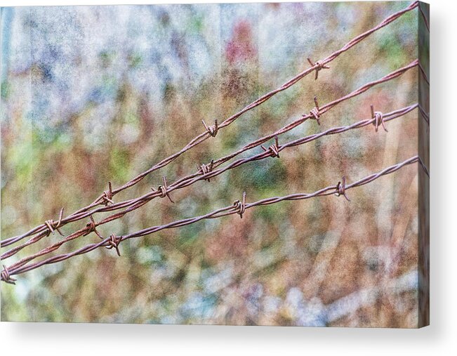 Barbed Wire Acrylic Print featuring the photograph Barbed Wire Fence by Bonnie Bruno
