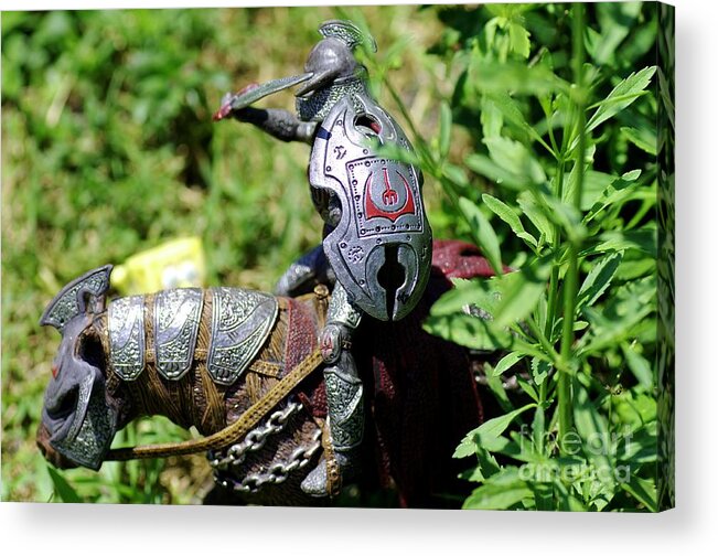 Miniatures Acrylic Print featuring the photograph Beastslayer by Don Youngclaus