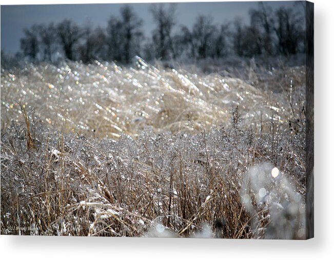 Prisms Acrylic Print featuring the photograph Beauty and the Beast by Penny Hunt