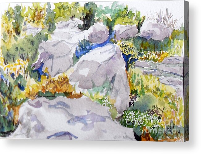 Watercolor Acrylic Print featuring the painting Beauty In The Rocks by Vicki Housel