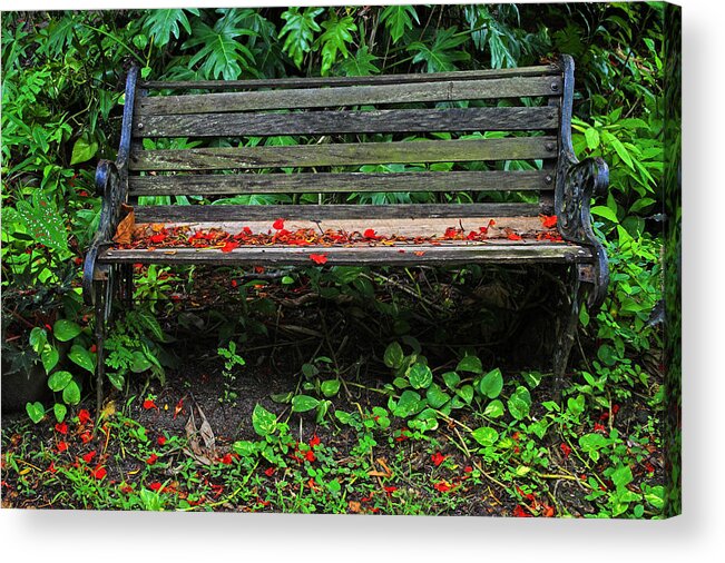 St Lucia Acrylic Print featuring the photograph Bench and Flowers- St Lucia. by Chester Williams