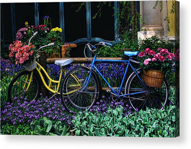 Bike Acrylic Print featuring the photograph Bike ride by Tammy Espino