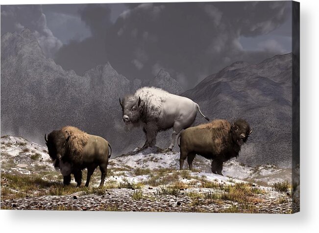 Bison Acrylic Print featuring the digital art Bison King by Daniel Eskridge