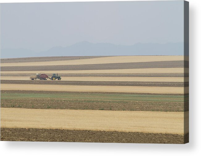 View Acrylic Print featuring the photograph Boulder County Colorado Open Space Country View by James BO Insogna