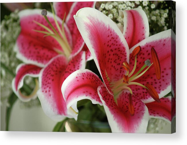 Lilies Acrylic Print featuring the photograph Bouquet of Love by Wanda Brandon