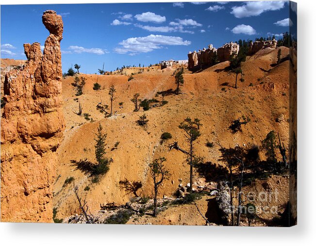 Bryce Canyon National Park Acrylic Print featuring the photograph Bryce Guardians by Adam Jewell