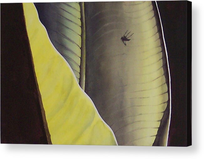 Bug Acrylic Print featuring the painting Bug on a banana leaf by Philip Fleischer