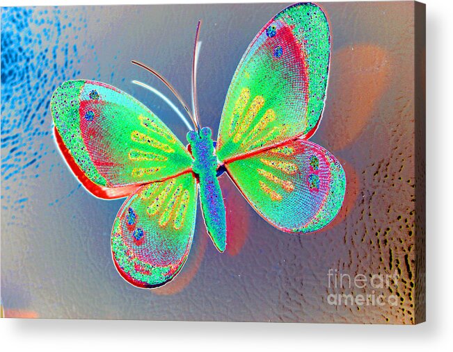 Butterfly Acrylic Print featuring the photograph Butterfly Decoration by Susan Stevenson