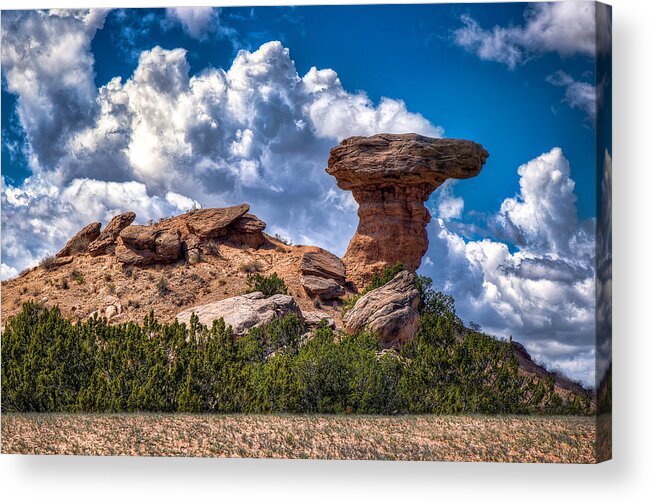 Landscape Acrylic Print featuring the photograph Camel Rock by Anna Rumiantseva