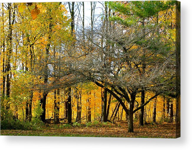 Fall Day Acrylic Print featuring the photograph Change in the Air by Christie Minalga