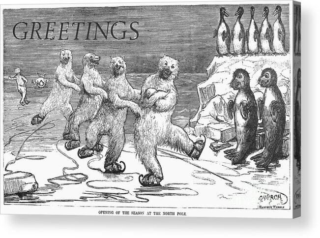 1875 Acrylic Print featuring the photograph Christmas: Polar Bears by Granger