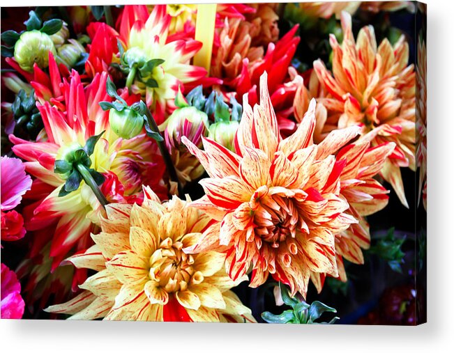 Chrysanthemum Acrylic Print featuring the photograph Chrysanthemum Blooms by Tony Grider