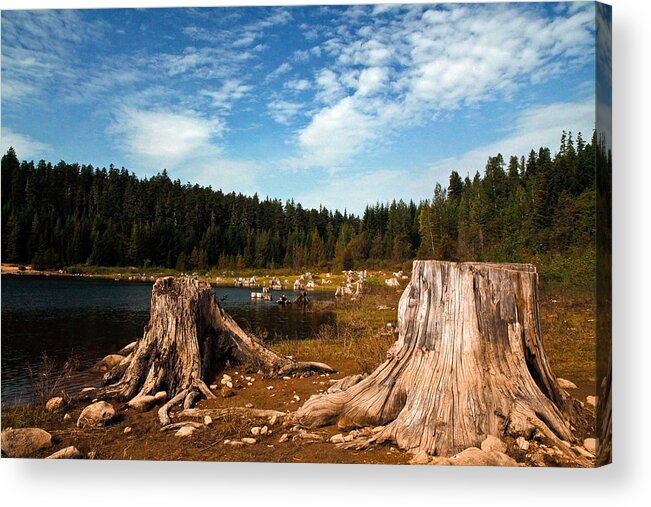 Clear Lake Acrylic Print featuring the photograph Clear Lake Oregon by Steve McKinzie