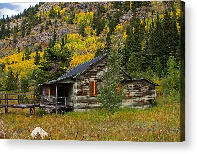 Aspen Acrylic Print featuring the photograph Colorado Autumn by Farol Tomson