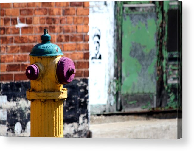  Acrylic Print featuring the photograph Colorful Hydrant by Mark J Seefeldt