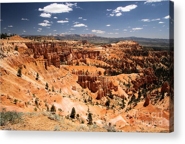 Bryce Canyon National Park Acrylic Print featuring the photograph Concert Time by Adam Jewell