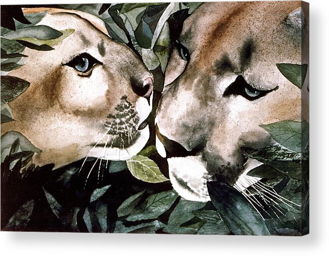 Mountain Acrylic Print featuring the painting Cougar Kiss by Frank SantAgata