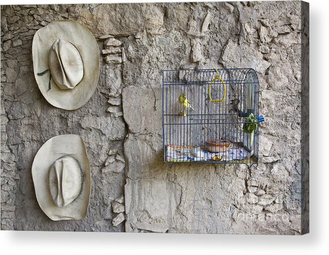 Craig Lovell Acrylic Print featuring the photograph Cowboy Hats and Parakeets by Craig Lovell