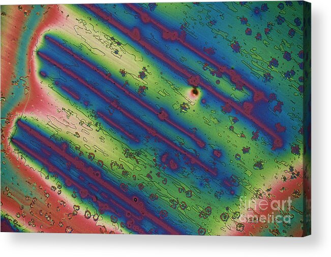 Chemistry Acrylic Print featuring the photograph Crystal Liquid Crystal by Michael W Davidson