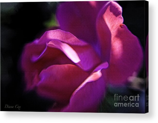 Diana Cox Acrylic Print featuring the photograph Deeply Pink by Diana Cox