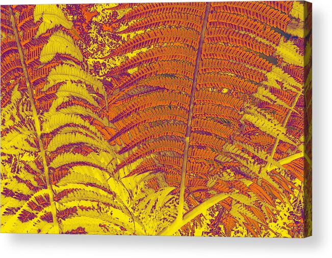 Abstract Acrylic Print featuring the digital art Digital Ferns by Colleen Cannon