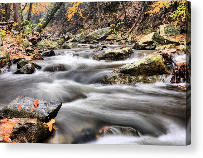 Catoctin Mountain Park Mountains Snow Snowing Blizzard October Fall Autumn Stream Creek Streams Creeks Brook Falls Water Waterfall Maryland Md Color Colors Colour Colours Scenic Rustic Woodsy Acrylic Print featuring the photograph Downhill II by JC Findley