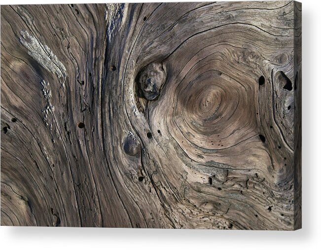 Swirling Acrylic Print featuring the photograph Driftwood Swirls 4 by David Kleinsasser