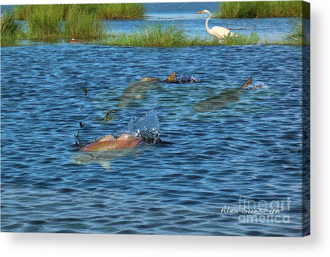 Bonefish Acrylic Print featuring the painting Duck Pond Reds by Alex Suescun