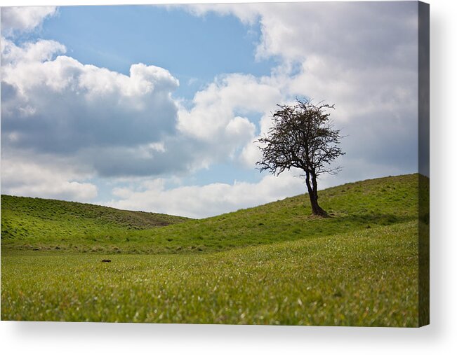 Beauty Acrylic Print featuring the photograph Early Spring by Semmick Photo