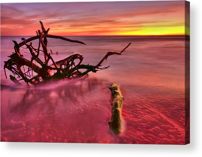 Sunset Acrylic Print featuring the photograph Entangled by Evelina Kremsdorf