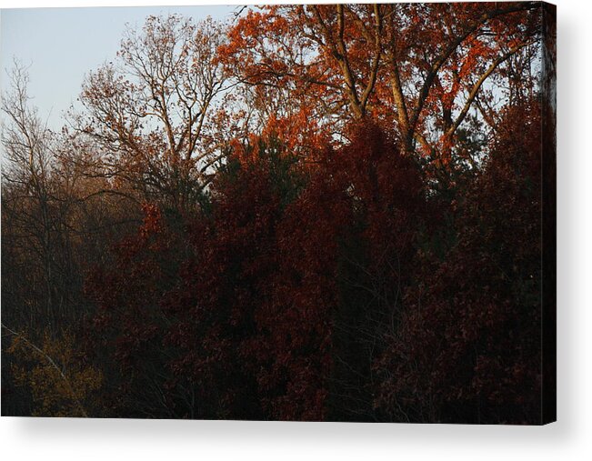 Landscape Acrylic Print featuring the photograph Fall Light on Blue Skies by Loretta Pokorny