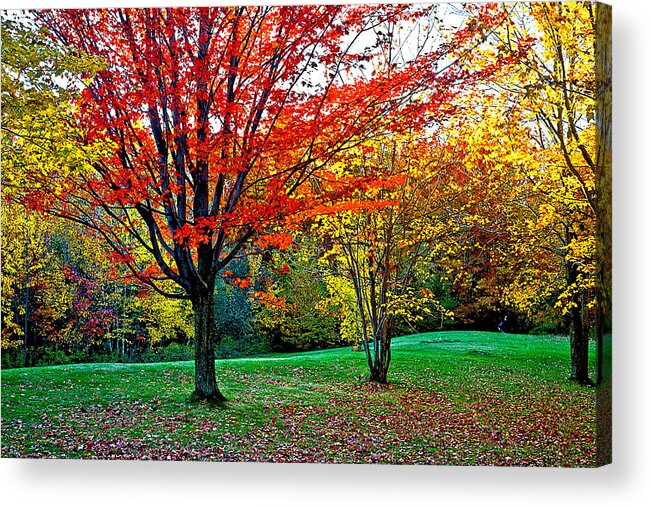 Fall Acrylic Print featuring the photograph Fall Partnership by Burney Lieberman