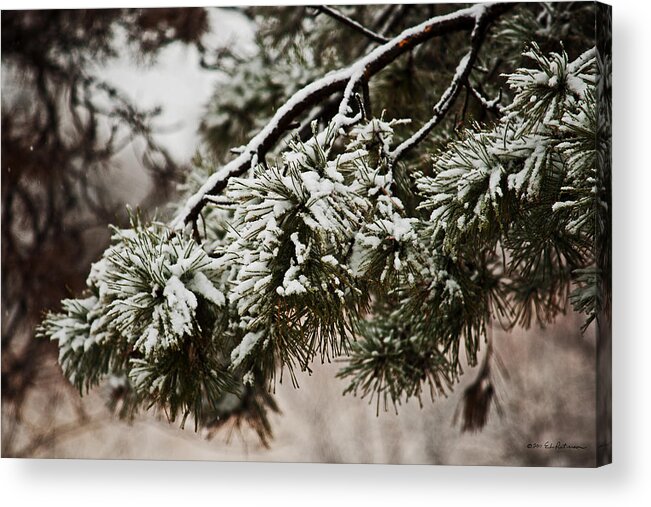 Standing Bear Lake Acrylic Print featuring the photograph First Snow by Ed Peterson