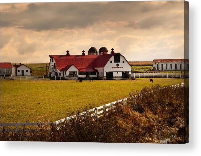 Farm Acrylic Print featuring the photograph Flemingsburg Farm Ky by Randall Branham