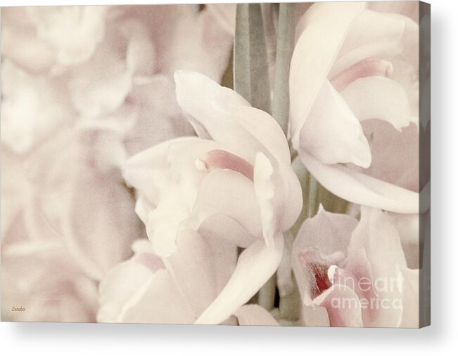 Flower Acrylic Print featuring the photograph Flower Dream by Eena Bo