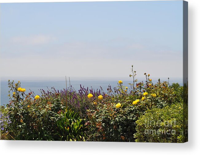 Flowers By Ocean Acrylic Print featuring the photograph Flowerview by Nicky Dou
