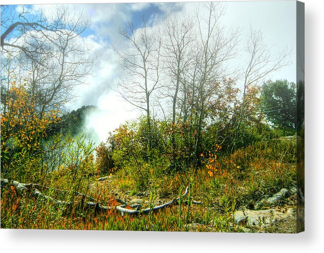 Forest Acrylic Print featuring the photograph Fog on Mountain Top by Joe Myeress