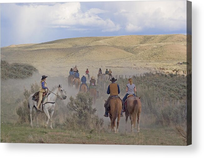 Cowboys Acrylic Print featuring the photograph Following the Herd by Judy Deist