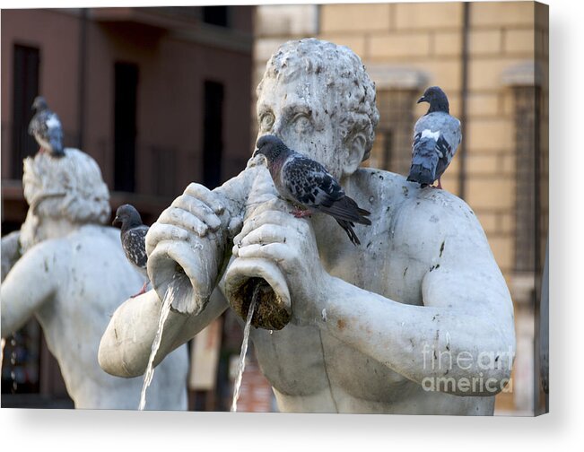 Works Acrylic Print featuring the photograph Fontana del Moro in Piazza Navona. Rome by Bernard Jaubert