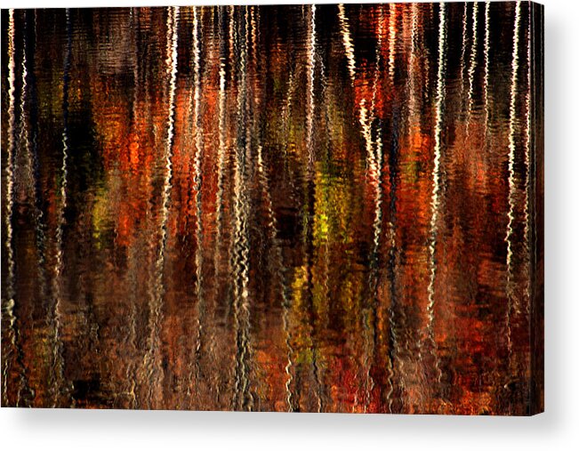 Autumn Acrylic Print featuring the photograph Free fall by Emanuel Tanjala