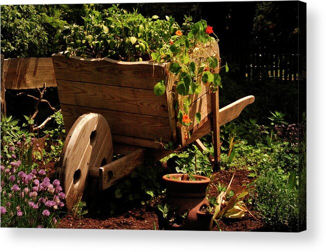 {add Your Keywords Separated By Semicolons} Acrylic Print featuring the photograph Garden Cart by Mark Valentine