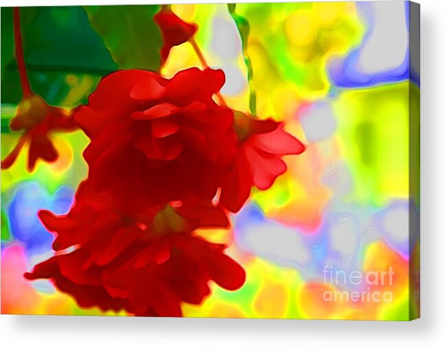 Red Flowers Acrylic Print featuring the photograph Garish by Julie Lueders 