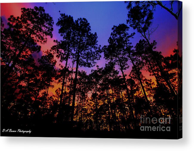 Glowing Forest Acrylic Print featuring the photograph Glowing Forest by Barbara Bowen