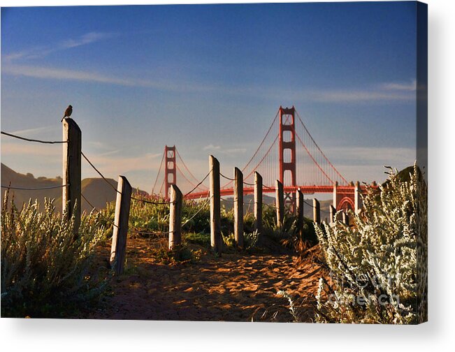 Nature Acrylic Print featuring the photograph Golden Gate Bridge - 2 by Mark Madere