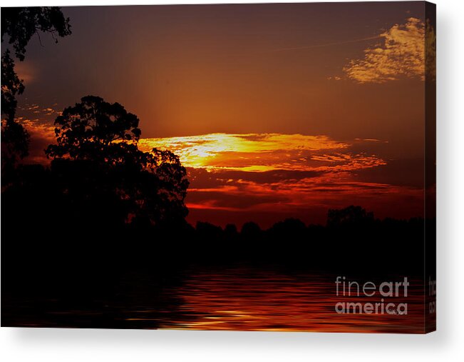 Landscape Acrylic Print featuring the photograph Golden Pond by Ms Judi