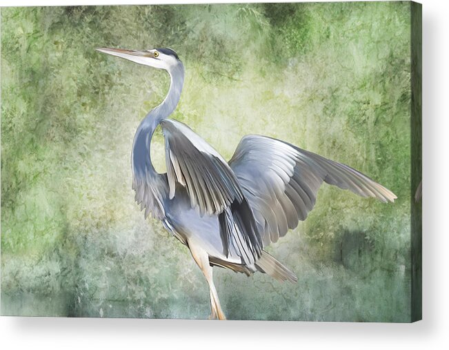 Heron; Great; Blue; Bird; Fowl; Waterfowl; Tropical; Tropic; Flight; Fly; Flying; Wings; Winged; Portrait; Swamp; Swampland; Marsh; Marshland; Landscape; Animal; Creature Acrylic Print featuring the digital art Great Blue Heron by Frances Miller