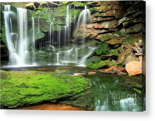 Elakala Falls Acrylic Print featuring the photograph Green Forest Falls by Adam Jewell