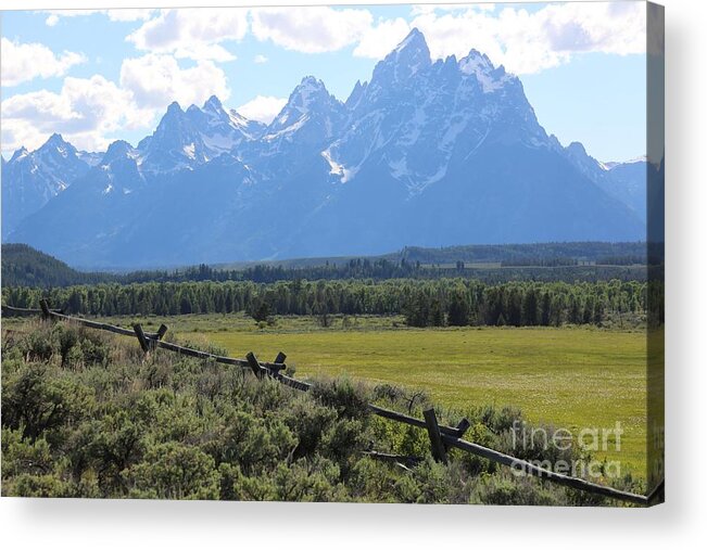 Tetons Acrylic Print featuring the photograph Grizzly Country by Carol Groenen