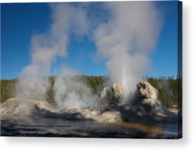 Yellowstone Acrylic Print featuring the photograph Grotto Geyser by Johan Elzenga