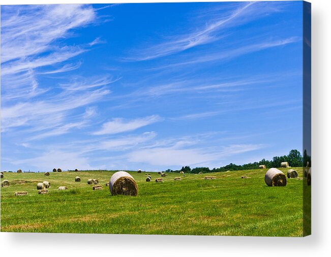Bales Acrylic Print featuring the photograph Hay Bales under Brilliant Blue Sky by Lori Coleman